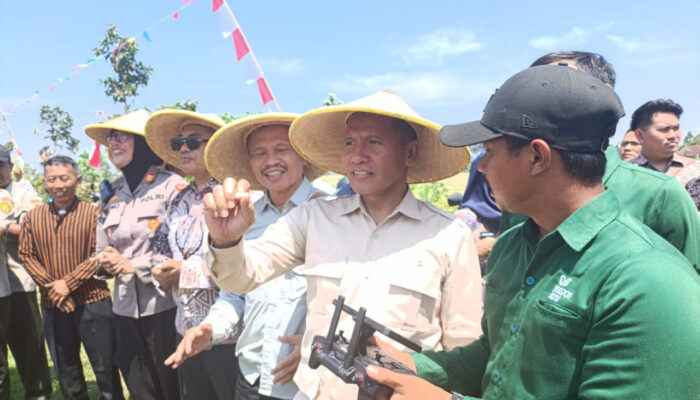 Panen Raya Desa Kepuh Boyolangu Serta Penyerahan Bantuan Benih Yang Di Berikan Plt. Bupati Tulungagung