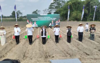 Pemprov Jatim Mendukung Swasembada Pangan Melalui Tanam Tebu Perdana Di Kediri.