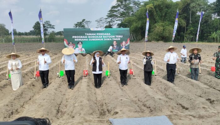 Pemprov Jatim Mendukung Swasembada Pangan Melalui Tanam Tebu Perdana Di Kediri.