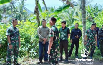 Perhutani Kediri Bersama Kodim Trenggalek Meninjau Lokasi Pembangunan Batalyon.