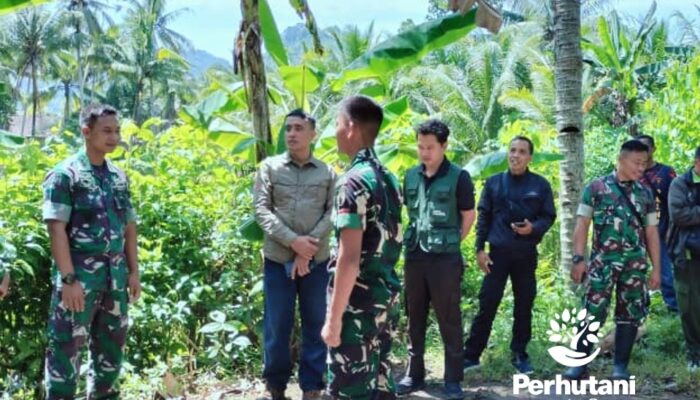 Perhutani Kediri Bersama Kodim Trenggalek Meninjau Lokasi Pembangunan Batalyon.