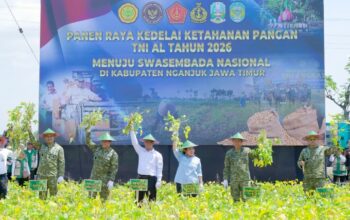Panen Raya Kedelai Perdana Di Kabupaten Nganjuk, Hasilnya Melampaui Kapasitas Rata – Rata.