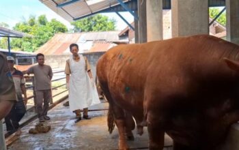 Dinas Ketahanan Pangan Dan Peternakan Kabupaten Kediri Turun Gunung Awasi Kelayakan Daging Kurban.