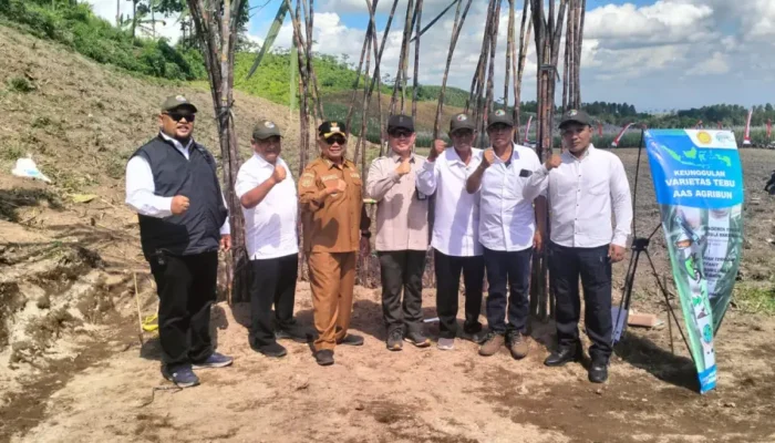 Pemkab Blitar Optimis Melampaui Target produktivitas Tebu.