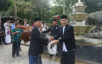 Ahmad Baharudin Serahkan Hewan Kurban Setelah Shalat Idul Adha Di Bundaran Aloon – Aloon.