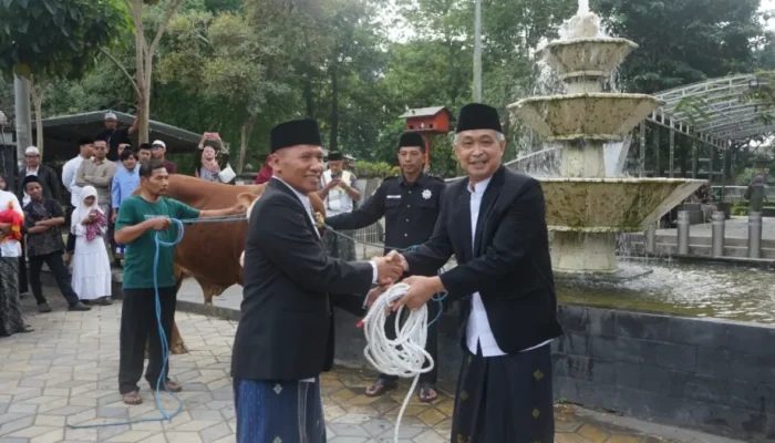 Ahmad Baharudin Serahkan Hewan Kurban Setelah Shalat Idul Adha Di Bundaran Aloon – Aloon.