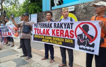 Bagikan Telur Ayam Gratis Peternak Di Wilayah Tulungagung, Menolak Delegasi Investor China.