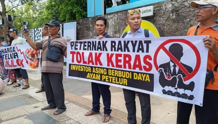 Bagikan Telur Ayam Gratis Peternak Di Wilayah Tulungagung, Menolak Delegasi Investor China.